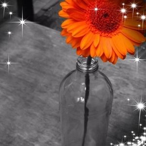 Meet your Posher, Joan